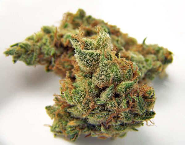 Northern Lights